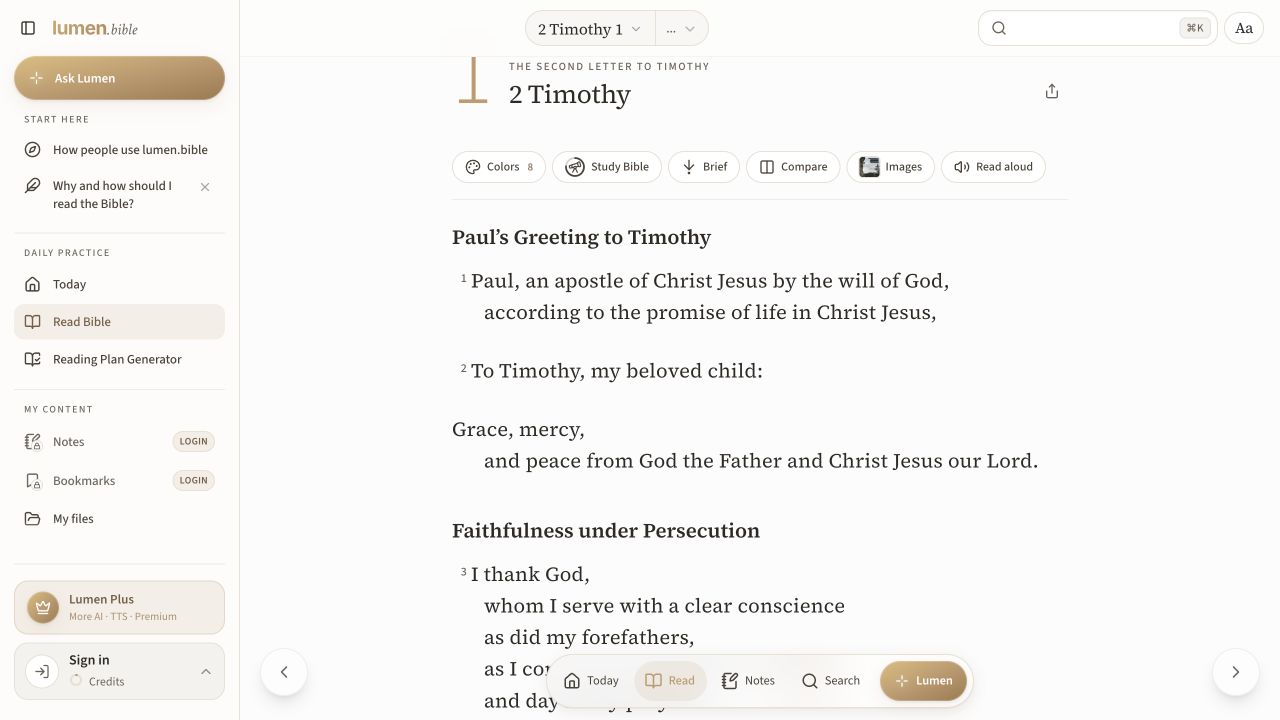 Phrase-grouped text inside a chapter reader